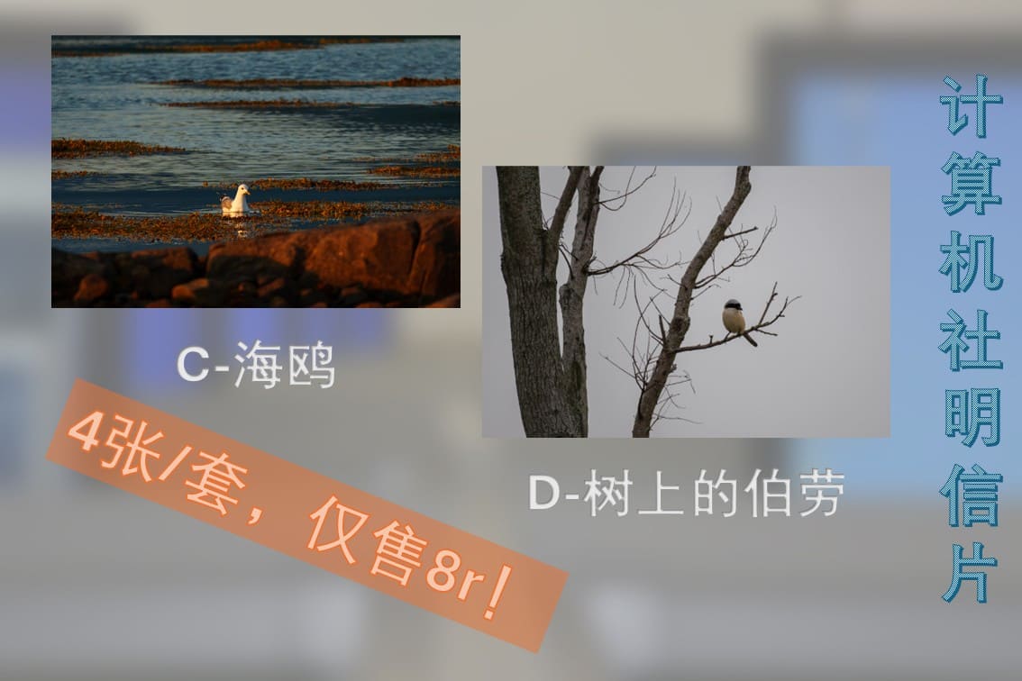 计算机社纪念明信片